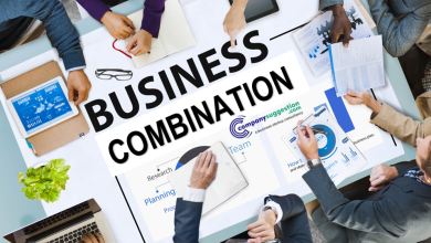 What is a business combination?, Types, Pros and Cons, and the Meaning